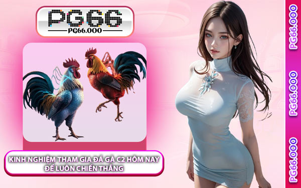 Kinh Nghiệm Tham Gia Đá Gà C2 Hôm Nay Để Luôn Chiến Thắng