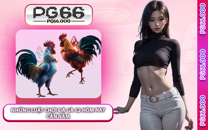 Những Luật Chơi Đá Gà C2 Hôm Nay Cần Nắm