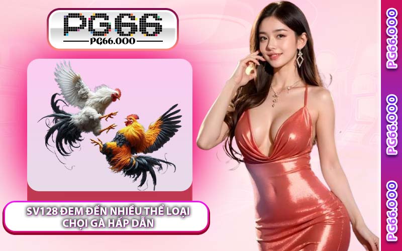 SV128 Đem Đến Nhiều Thể Loại Chọi Gà Hấp Dẫn