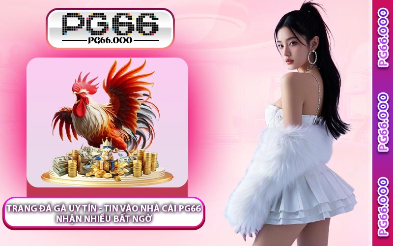 Trang Đá Gà Uy Tín - Tin Vào Nhà Cái PG66 Nhận Nhiều Bất Ngờ